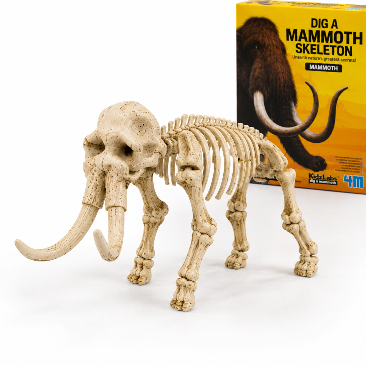 Set za Iskopavanje Dinosaurusa